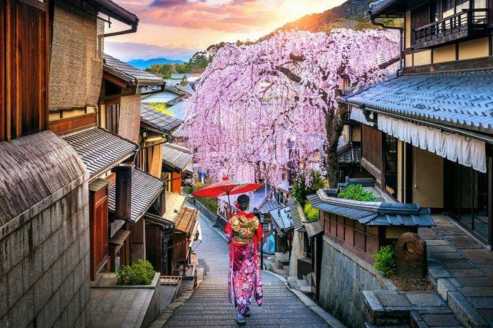 Kyoto Gion Private Tour: Geisha Culture and Hidden Streets