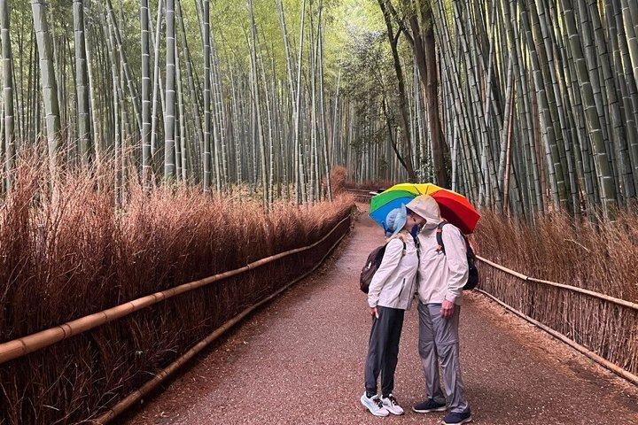 Kyoto Day Trip from Tokyo by Bullet Train Private Guided Tour