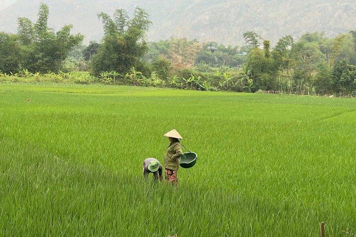 Mai Chau Day Trip: Explore the Beauty of Rural Villages by Bike
