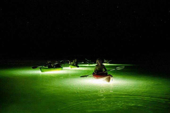 Night Mangrove Kayak Tour