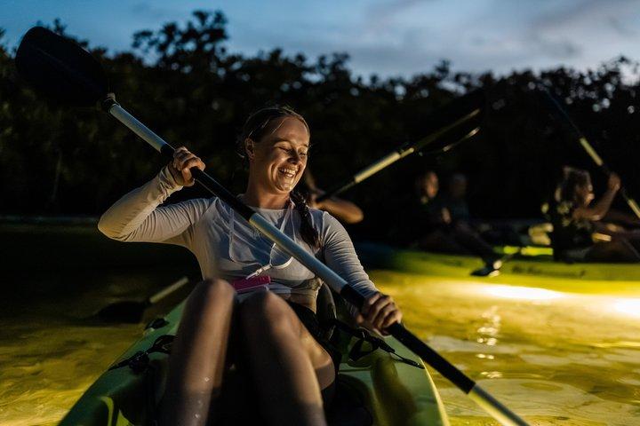 Night Mangrove Kayak Tour