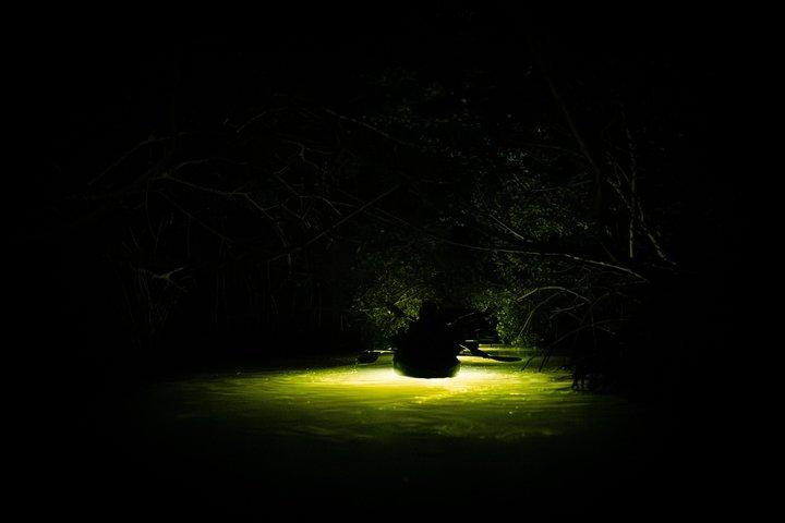 Night Mangrove Kayak Tour