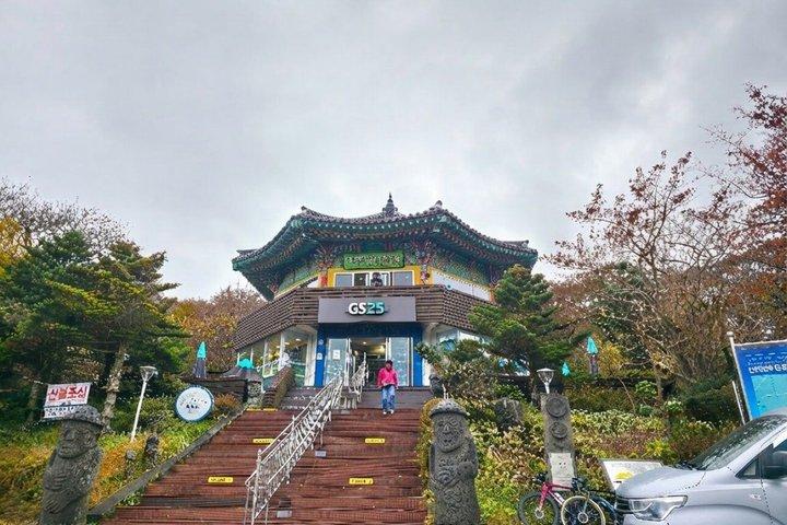 [For Cruise Guest]Jeju UNESCO Tour from Gangjeong Cruise Terminal