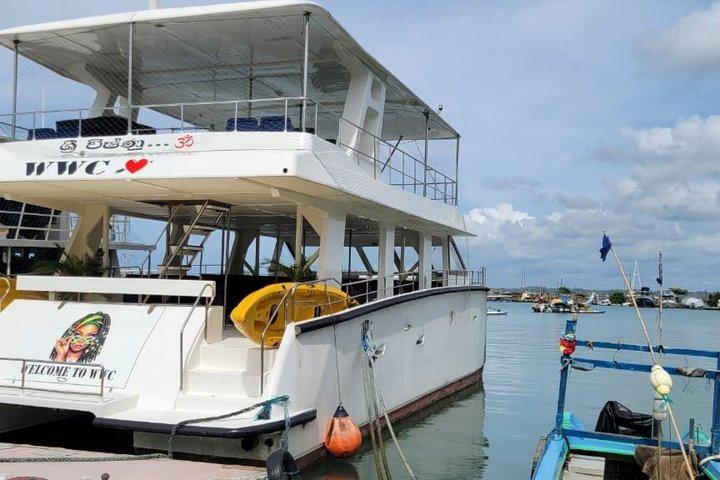 Whale Watching Mirissa with ( WWC )
