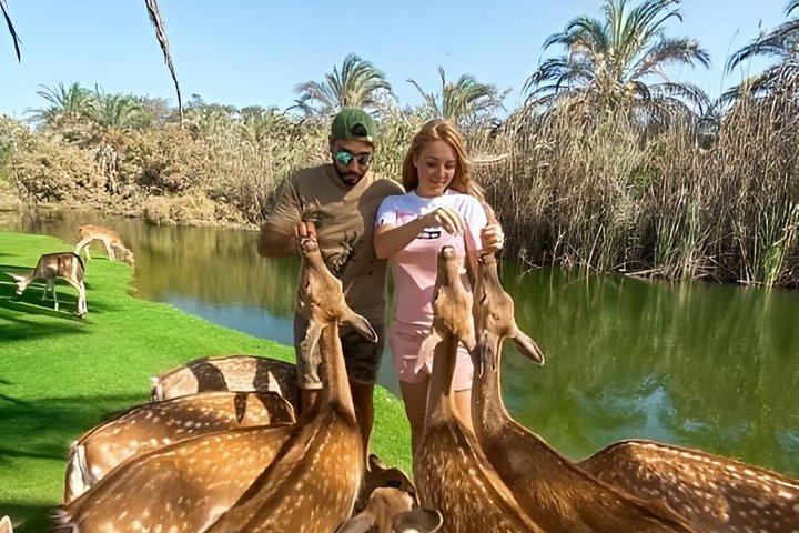Africano Park Safari Family Friendly Animal Adventure