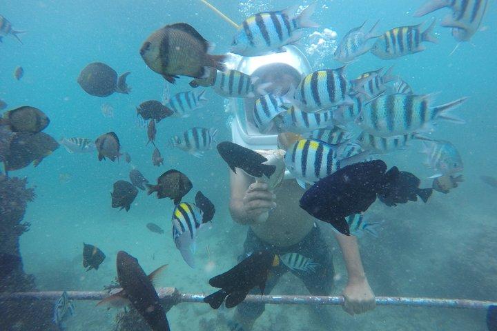 Jet Ski, Sea Walker and Nusa Dua Beach Adventure in Bali