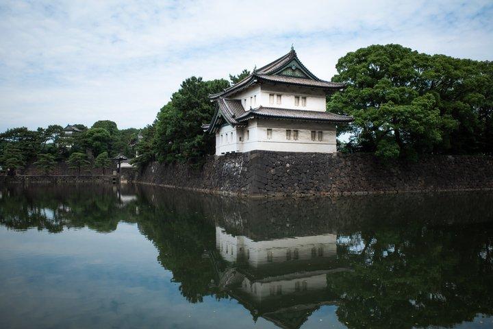 Imperial Palace East Garden and Edo Castle Walking Tour in Tokyo