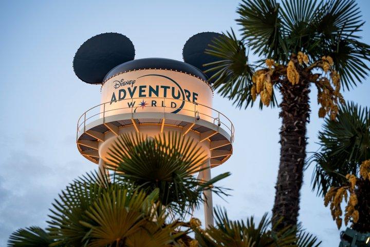Disneyland® Paris 1 Day with Round-Trip Train Tickets from Paris