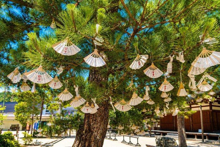 Amanohashidate & Miyama 1-Day Bus Tour: From Osaka/Kyoto w/ Lunch
