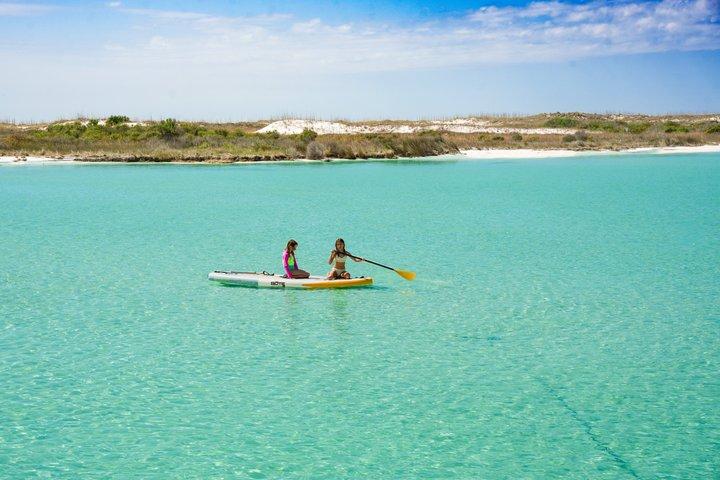 3 Hour Panama City Beach Dolphin Cruise and Shell Island Tour