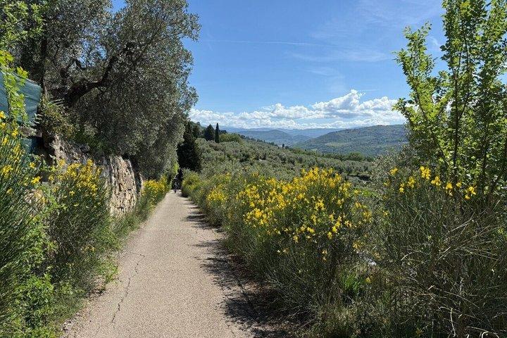 Florence: E-Bike Tour with Olive Oil Tasting or Relax in the Pool
