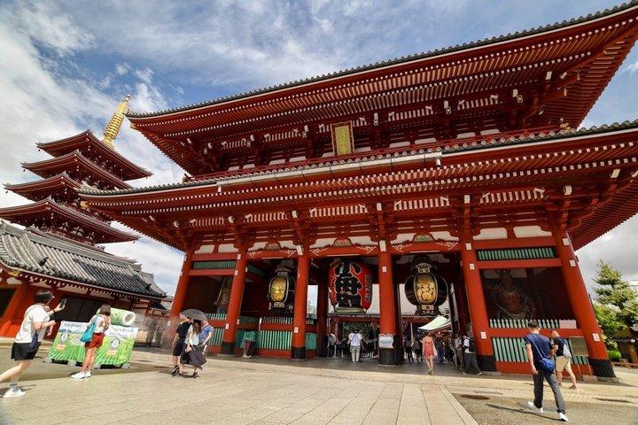 Haneda Layover tour of 5hours with local Japanese guide by car