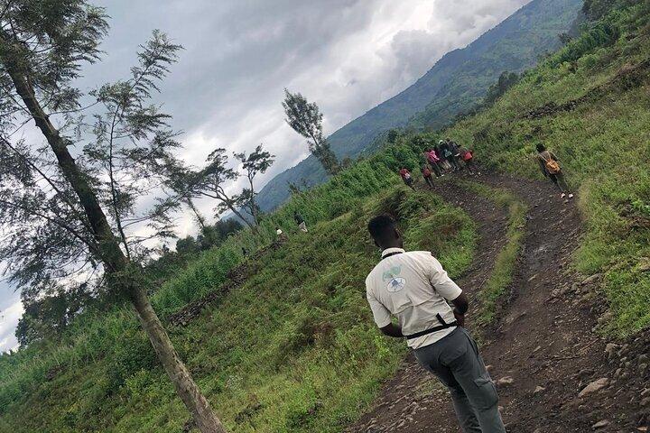 Rwanda nature Walking Tour in park and out park