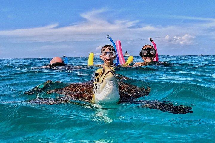 Turtle Snorkeling Tour in Tres Trapi, Aruba