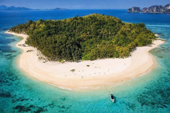 Phi Phi & Bamboo Islands Snorkeling Tour w/ Fins by Speedboat