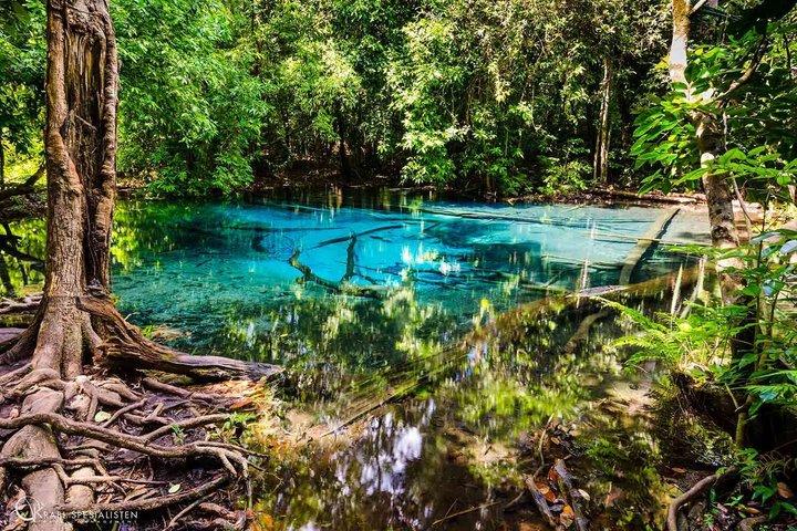 Tiger Cave Temple, Hot Springs & Emerald Pool Day Tour in Krabi