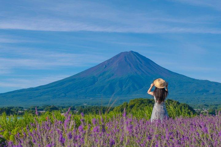 Mt. Fuji Scenic Tour: Lakes, Oshino Hakkai & Chureito PagodaTour