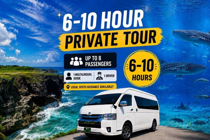 Okinawa Private Tour—Driver and Guide Included 1–8 Guests(6-10H)