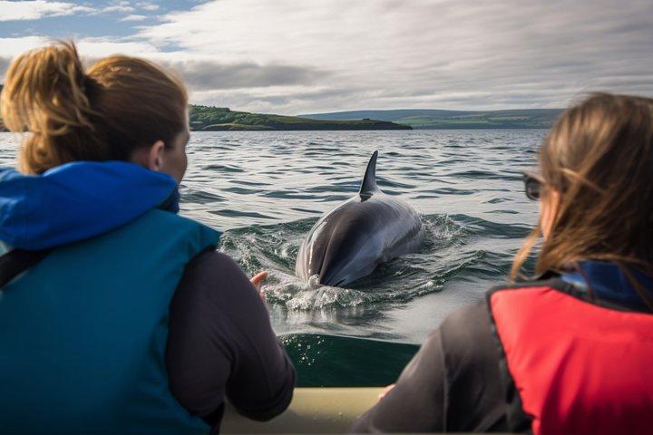 Lisbon: Jeep Tour + Boat Trip Watching Dolphins + Hotel Pick-Up