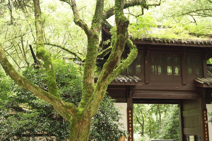 Hangzhou Half Day Tour in Pagoda Bamboo Grove and Old Street