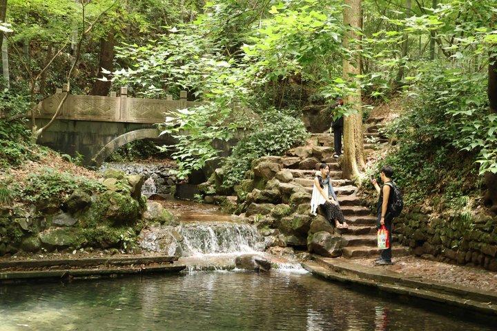 Hangzhou Half Day Tour in Pagoda Bamboo Grove and Old Street