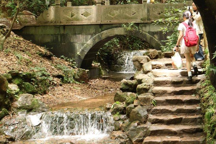 Hangzhou Half Day Tour in Pagoda Bamboo Grove and Old Street
