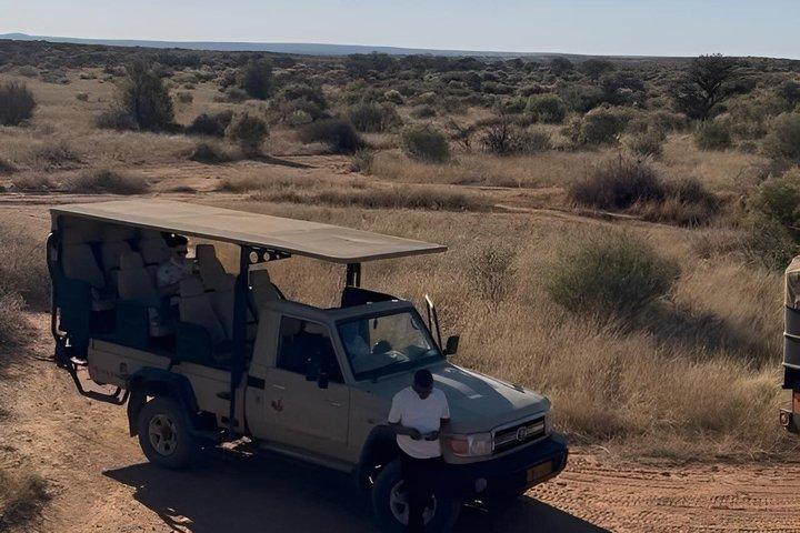 N/a'an ku se Wildlife Sanctuary Day Trip From Windhoek