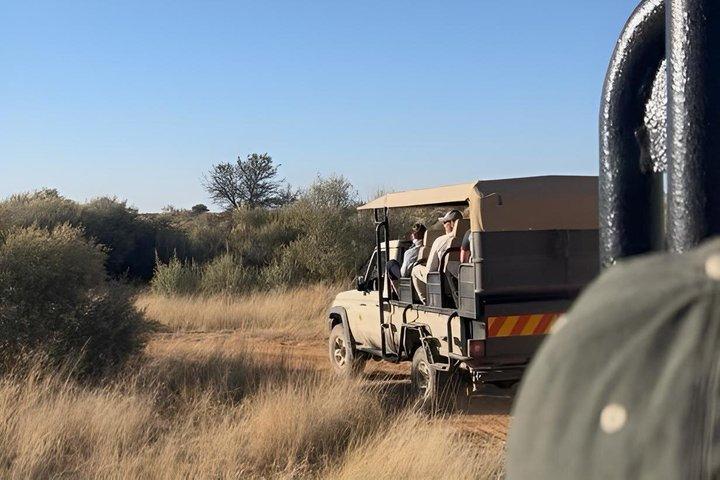 N/a'an ku se Wildlife Sanctuary Day Trip From Windhoek