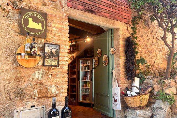 Private Girona & Costa Brava Tour with Tossa de Mar