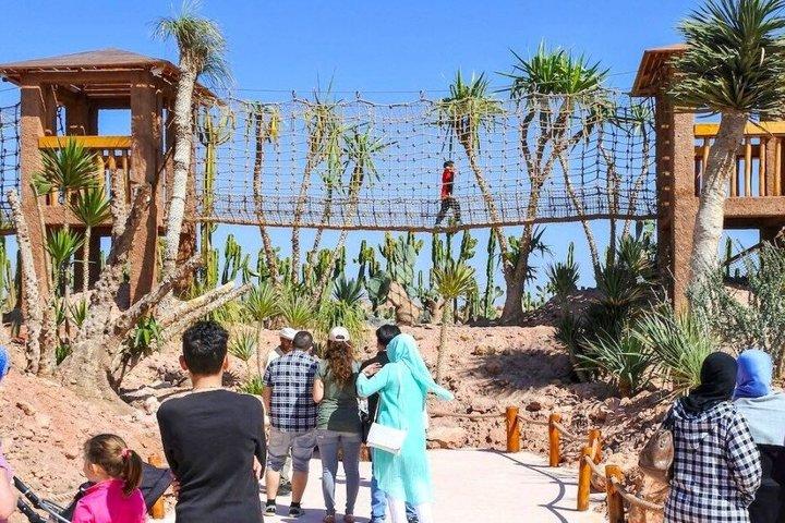 Crocoparc Agadir Day Trip with Round-Trip Transportation