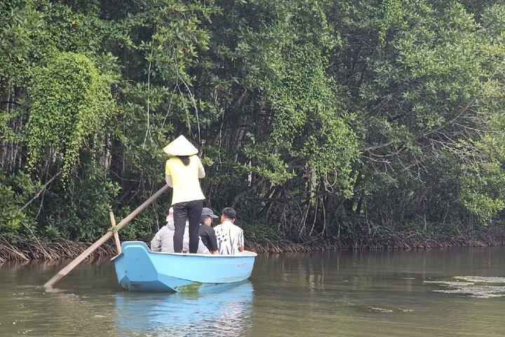 From Ho Chi Minh City: Can Gio Forest & Wildlife Scenic Boat Tour