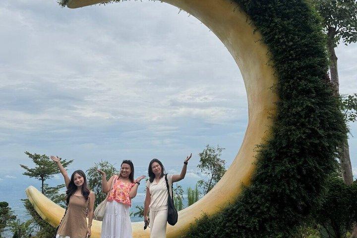 Cu Chi Tunnels Cao Dai Temple Tour with Lunch from Ho Chi Minh