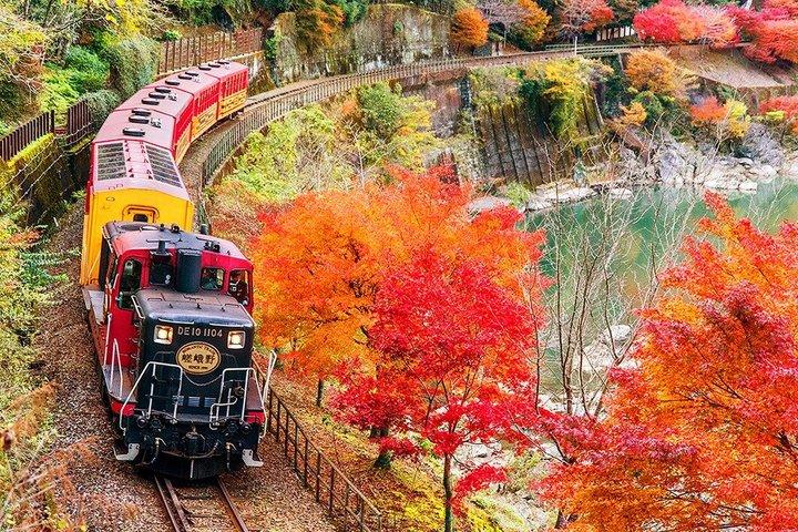 Kyoto and Arashiyama Tour with Sagano Railway Hozugawa River Tour