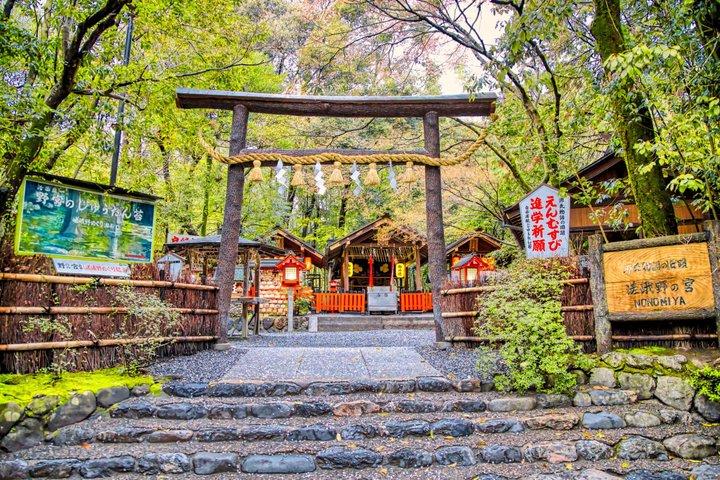 Kyoto and Arashiyama Tour with Sagano Railway Hozugawa River Tour
