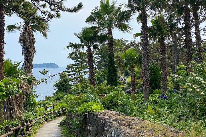 Jeju South Scenic Tour: Hallasan Trail Camellia Hill & Waterfalls