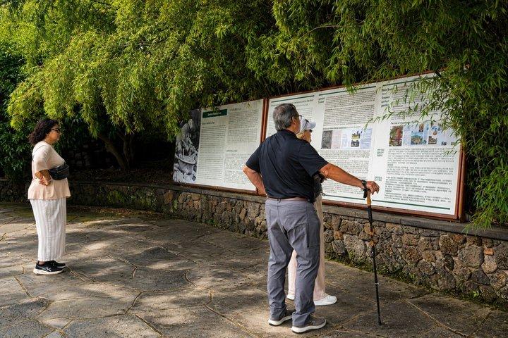 Spirited Garden Jeju: Korea’s Only 60-Year Garden