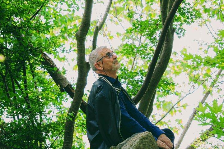 Hangzhou Nine Creeks Dragon Well Half Day Hiking Tour