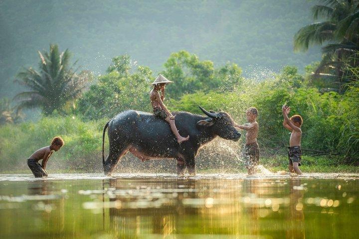 3-Day Mekong Delta River Cruise - Phnom Penh