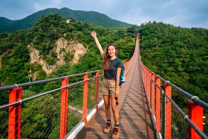 DMZ Guided Tour with N.K., Gondola, Suspension Bridge from Seoul