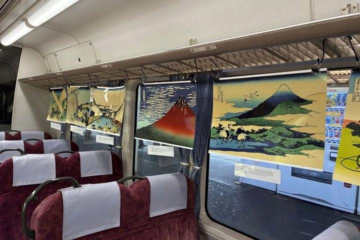 Mt Fuji Views Tour by Bullet Train Hokusai Train and Wasabi Farm