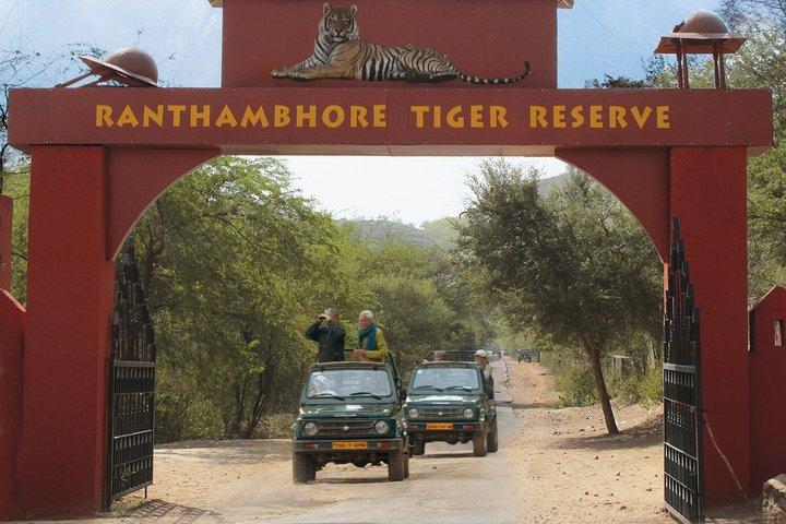 3 Day Ranthambore & Kuno Safari Tour from Jaipur/Ranthambore