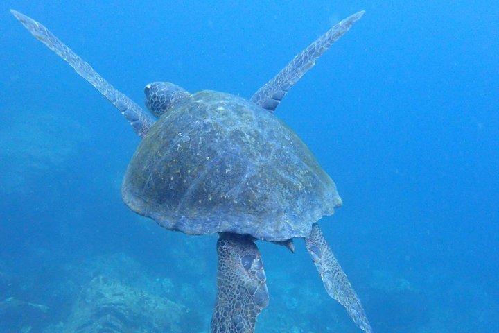 Isla Lobos and Ochoa Beach Snorkeling and Nature Hike Tour