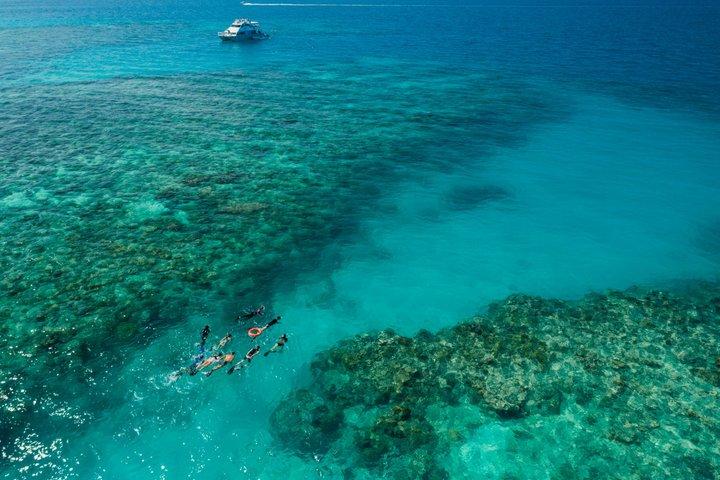 Ocean Freedom: Great Barrier Reef Stylish Snorkel, Dive Reef Tour