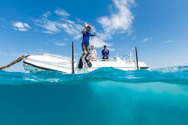 Ocean Freedom: Great Barrier Reef Stylish Snorkel, Dive Reef Tour