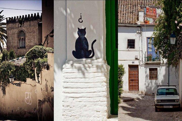 Granada's Hidden Treasures: Albayzin and Sacromonte Walking Tour