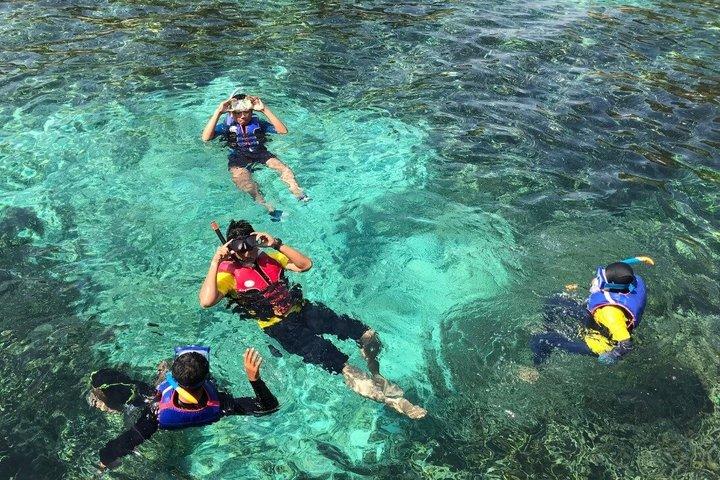 West Nusa Penida Tour Snorkeling Kelingking Beach and Lunch