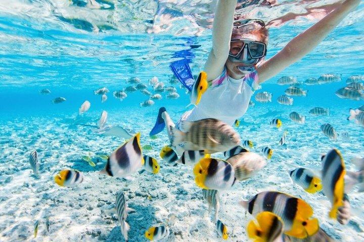 West Nusa Penida Tour Snorkeling Kelingking Beach and Lunch