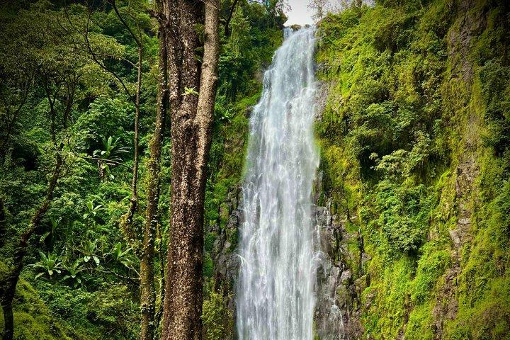 Materuni Waterfalls Hiking & Coffee Farms - Tuk Tuk Experiences