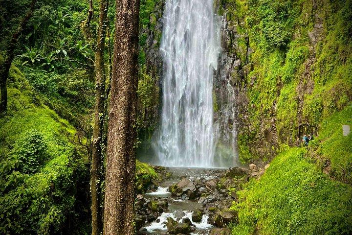Materuni Waterfalls Hiking & Coffee Farms - Tuk Tuk Experiences