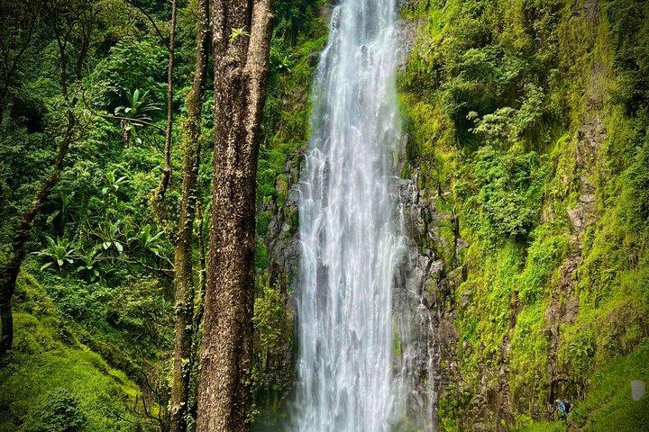 Materuni Waterfalls Hiking & Coffee Farms - Tuk Tuk Experiences